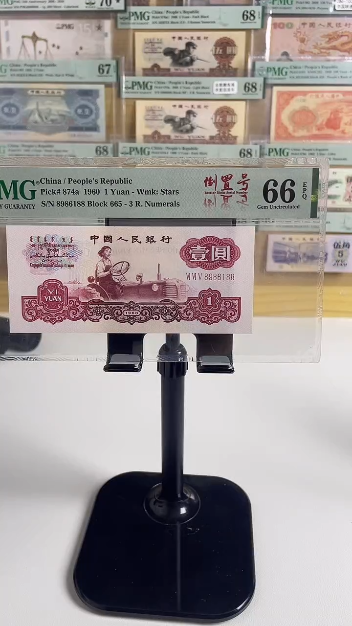 一品红66分倒置尾88.....特强荧光