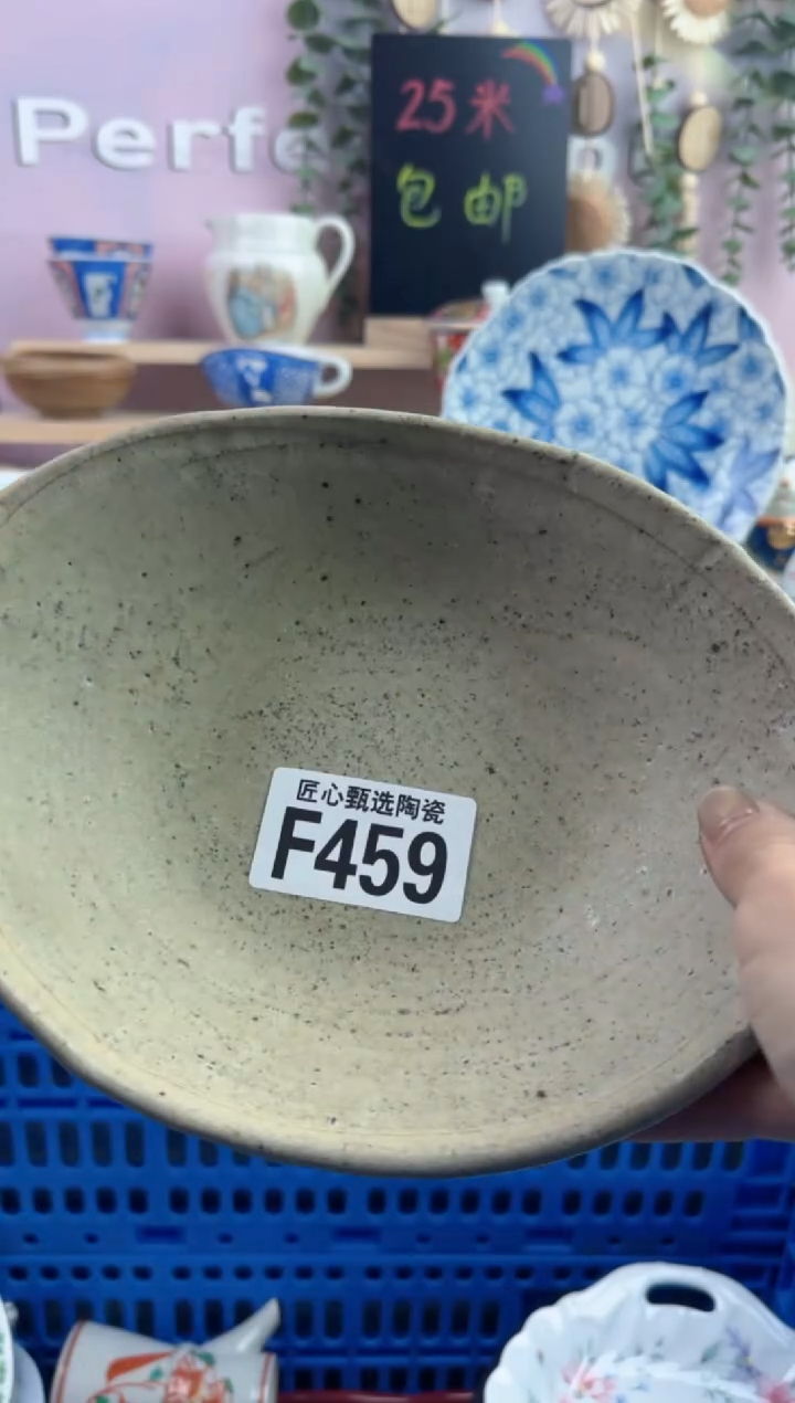 瓷片胖*         F459