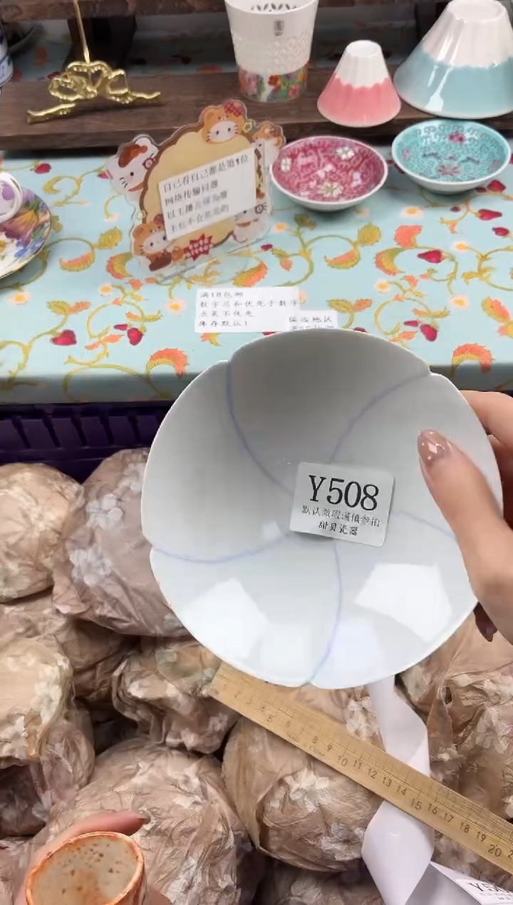 瓷片Z*                Y508