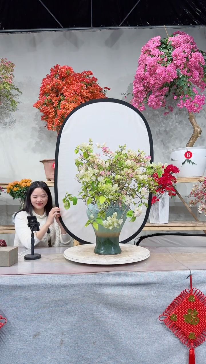 【闪购商品】盆景口红