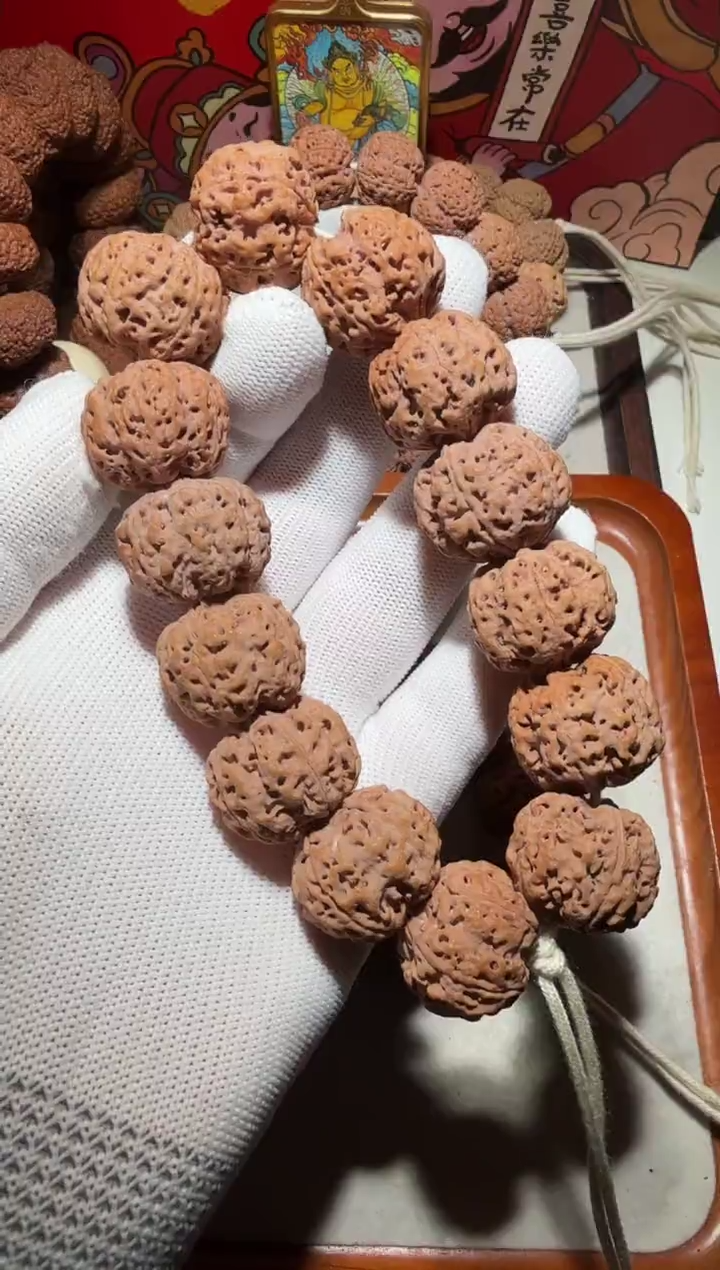 【闪购商品】金刚菩提手串超头矮桩满肉五星双龙24