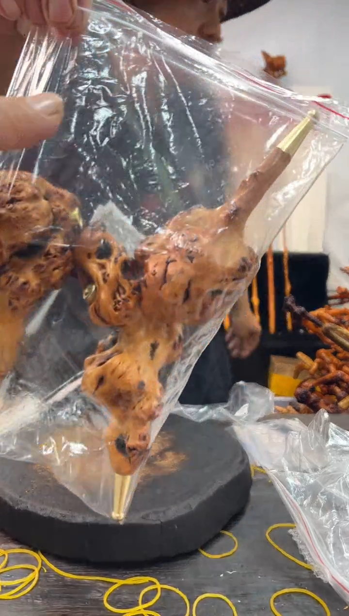 黑果木其他黑果木448