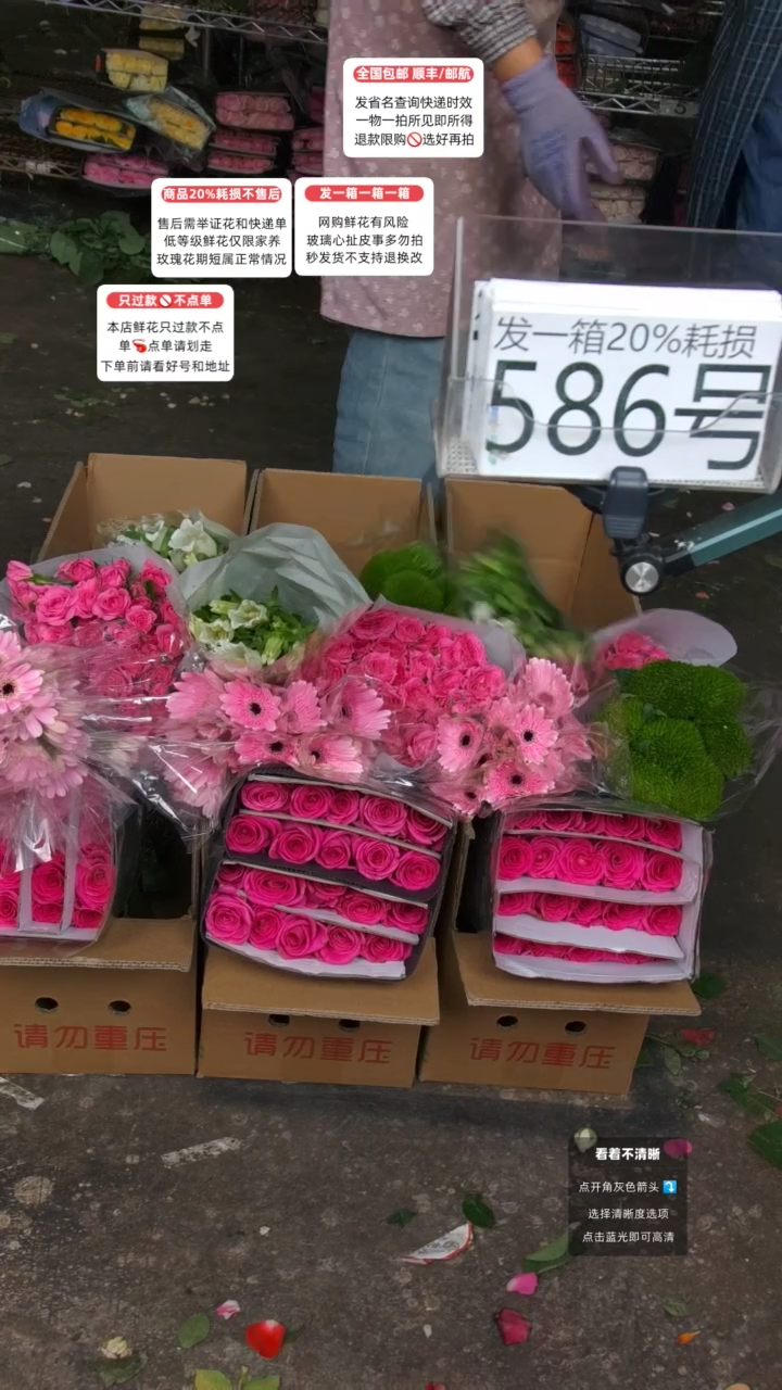 586号♥含20%耗损发一箱