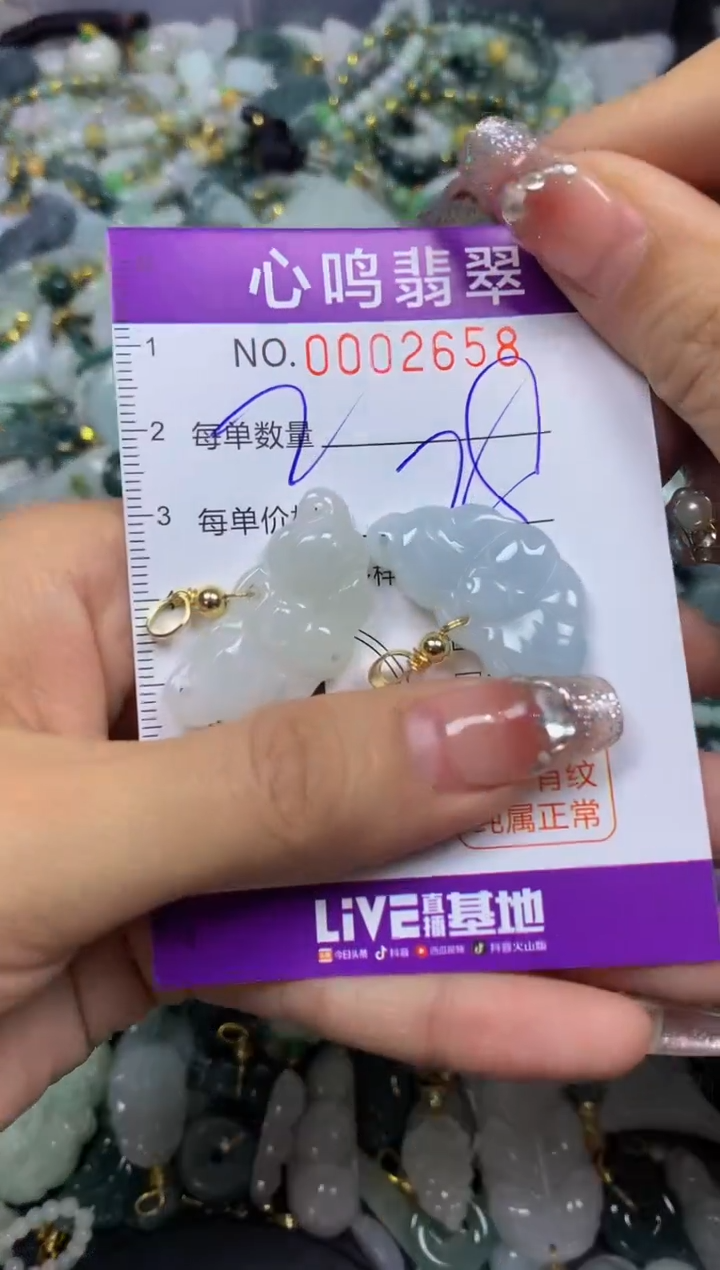 【闪购商品】翡翠颈饰未镶嵌闪购002658