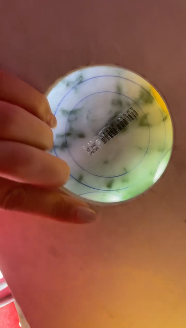 【闪购商品】定制翡翠手镯未镶嵌定制手镯LBFC2/DZS