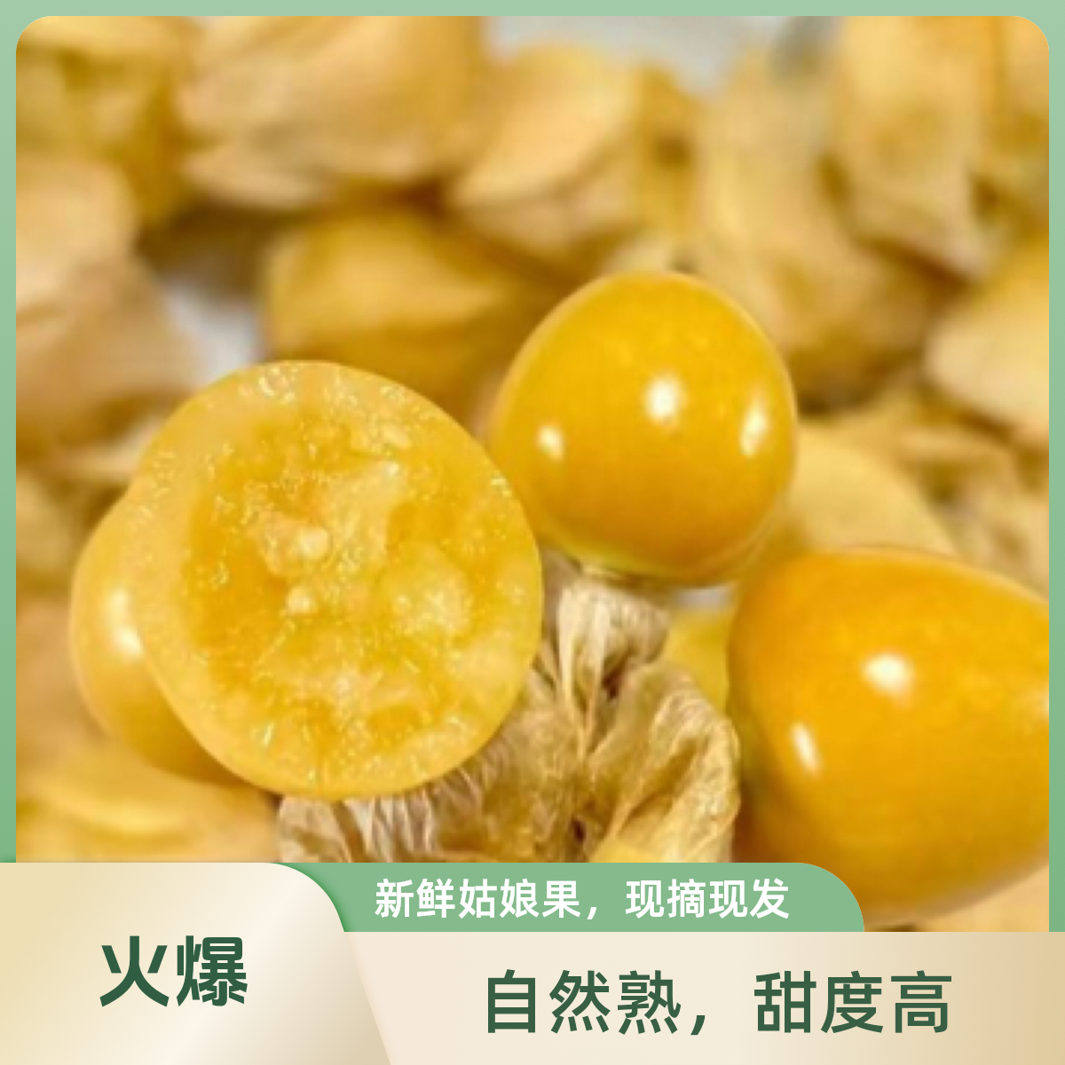 【整果】东北姑娘果 240克/盒