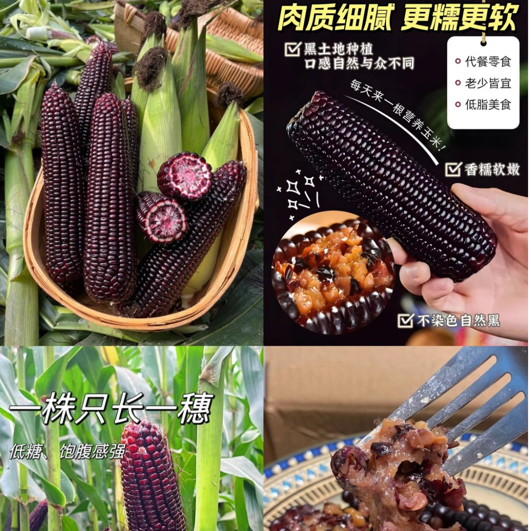 【畛棒】黑糯玉米棒富含花青素真空包装开袋即食220g*6根