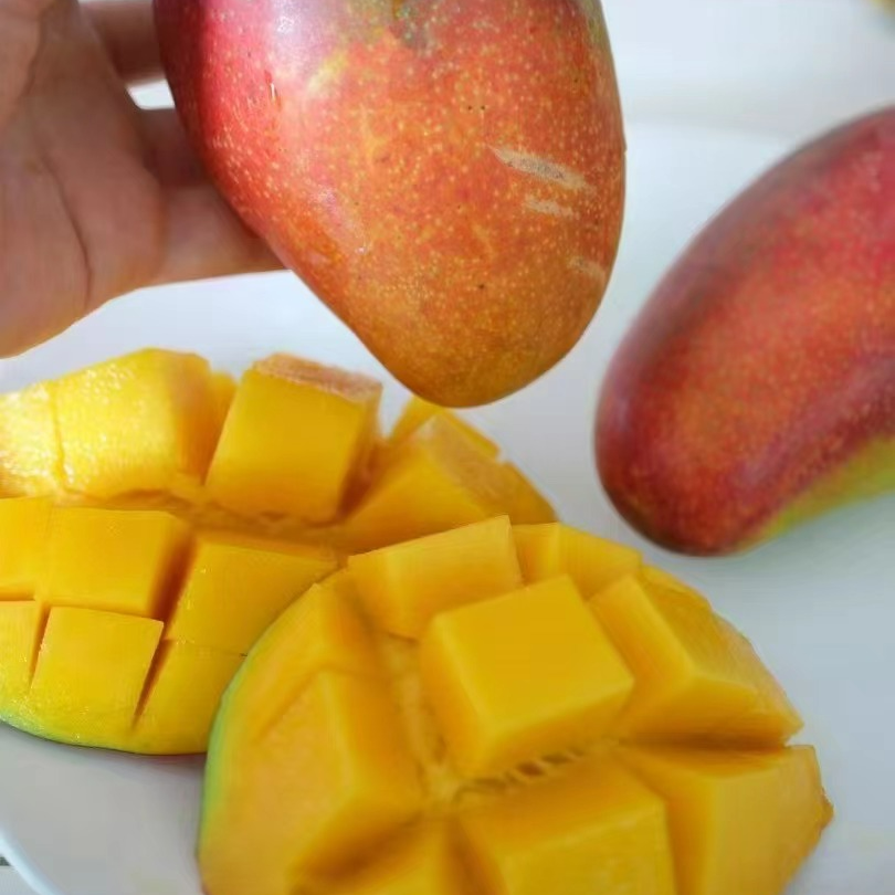 【蓝鲸小掌柜】18度果缘西施芒新鲜芒果一箱4斤左右