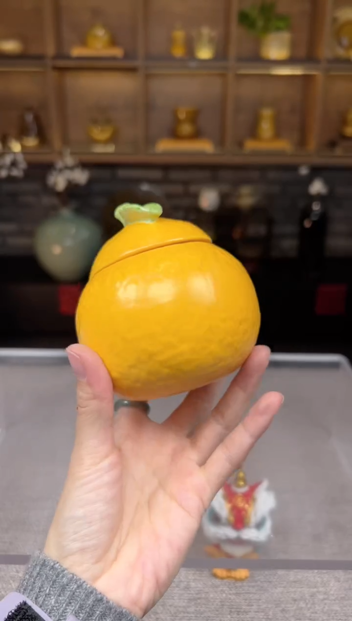 【闪购商品】无尽藏 专属福利单 VVV 