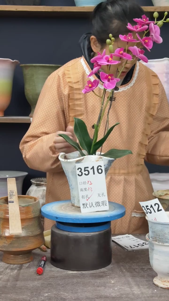 景德镇花盆默认微瑕3516