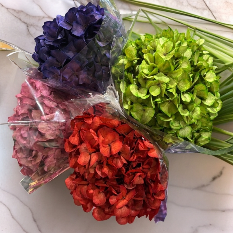 颜色可选永生花绣球花期长适合家居装饰红色紫色花卉红色永生花