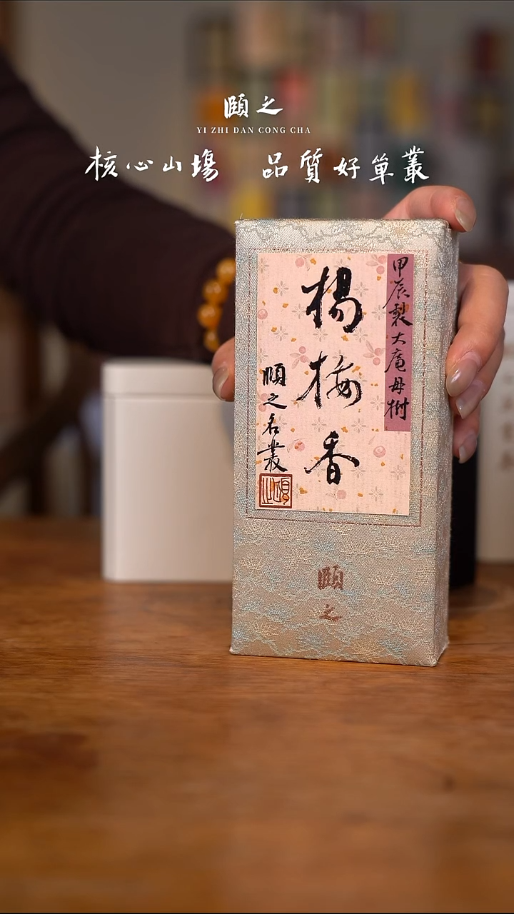 陶杨梅香母树单泡