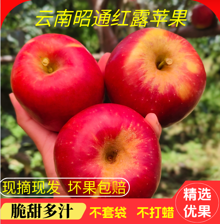 【包脆包甜】云南昭通红露脆甜爽口精选红露苹果坏果包赔原产地苹果