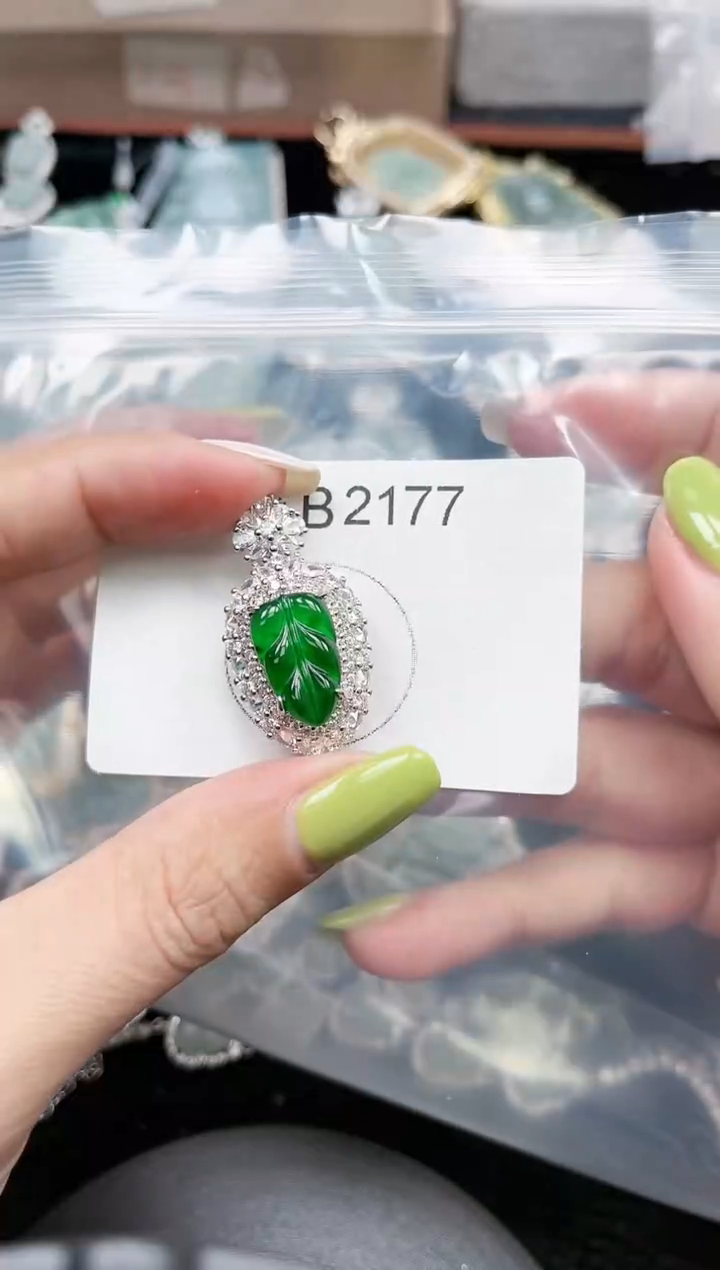 【闪购商品】翡翠颈饰未镶嵌2177赠皮绳