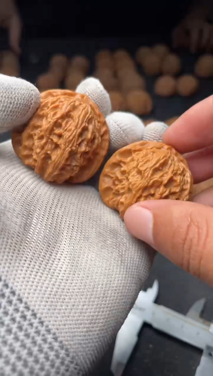 核桃a226   白狮子 39尺