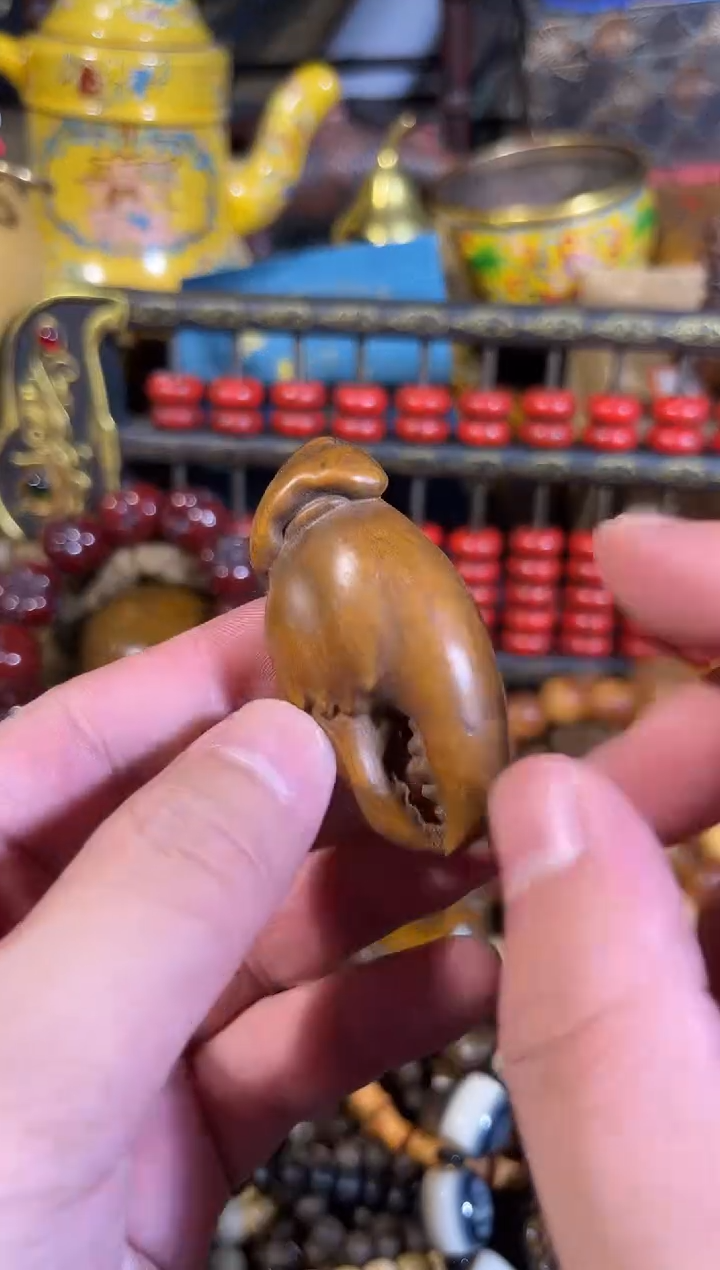 黄杨木1111111111111111