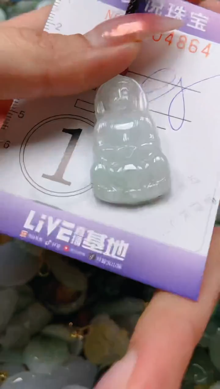 【闪购商品】翡翠颈饰未镶嵌闪购0104864