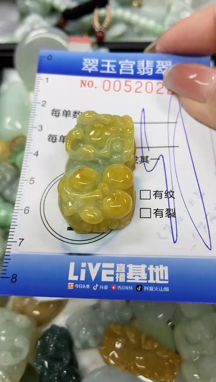 【闪购商品】翡翠颈饰未镶嵌闪购0052022
