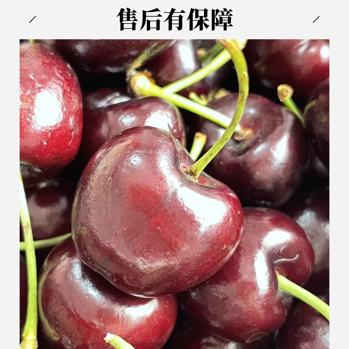 智利进口车厘子桑缇娜3JDD-5JD海运原箱原标五斤黑车脆甜新鲜到家！！！桑提娜智利