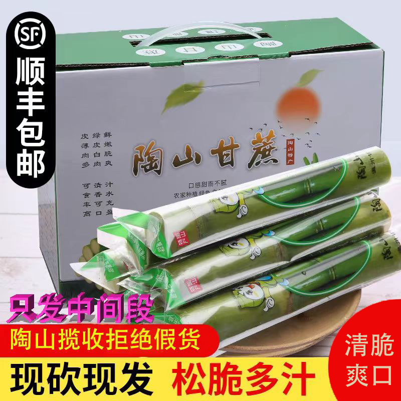 陶山青皮甘蔗新鲜水果3斤当季温州特产绿皮甘蔗脆甜脆皮顺丰整箱