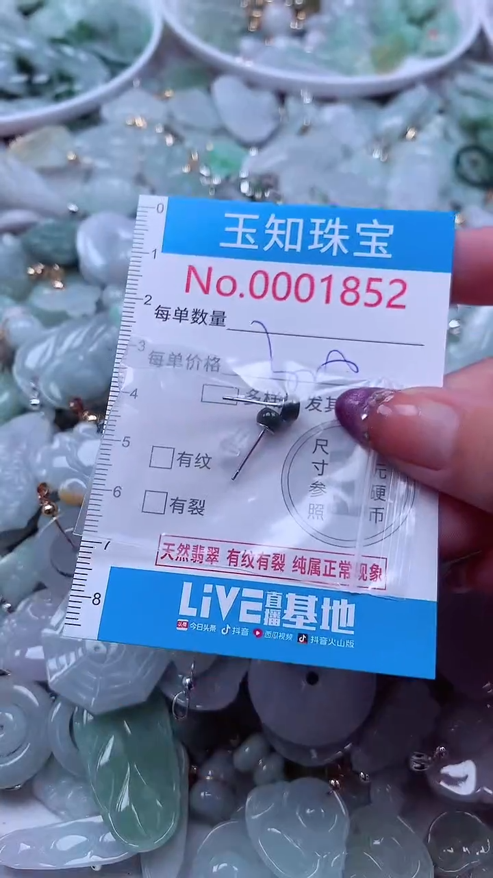 翡翠未镶嵌吊坠(不含链)1852