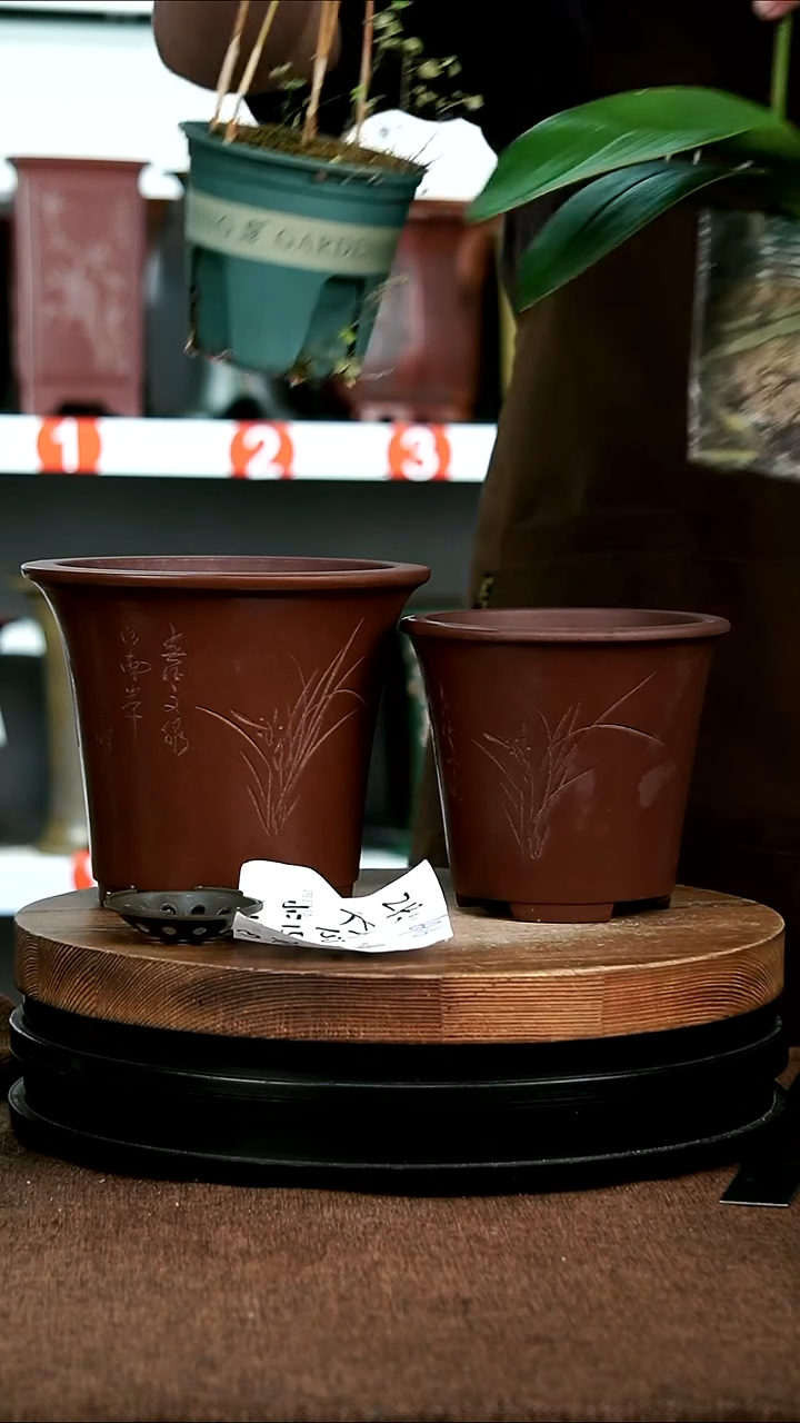 紫砂花盆花卉园艺6916
