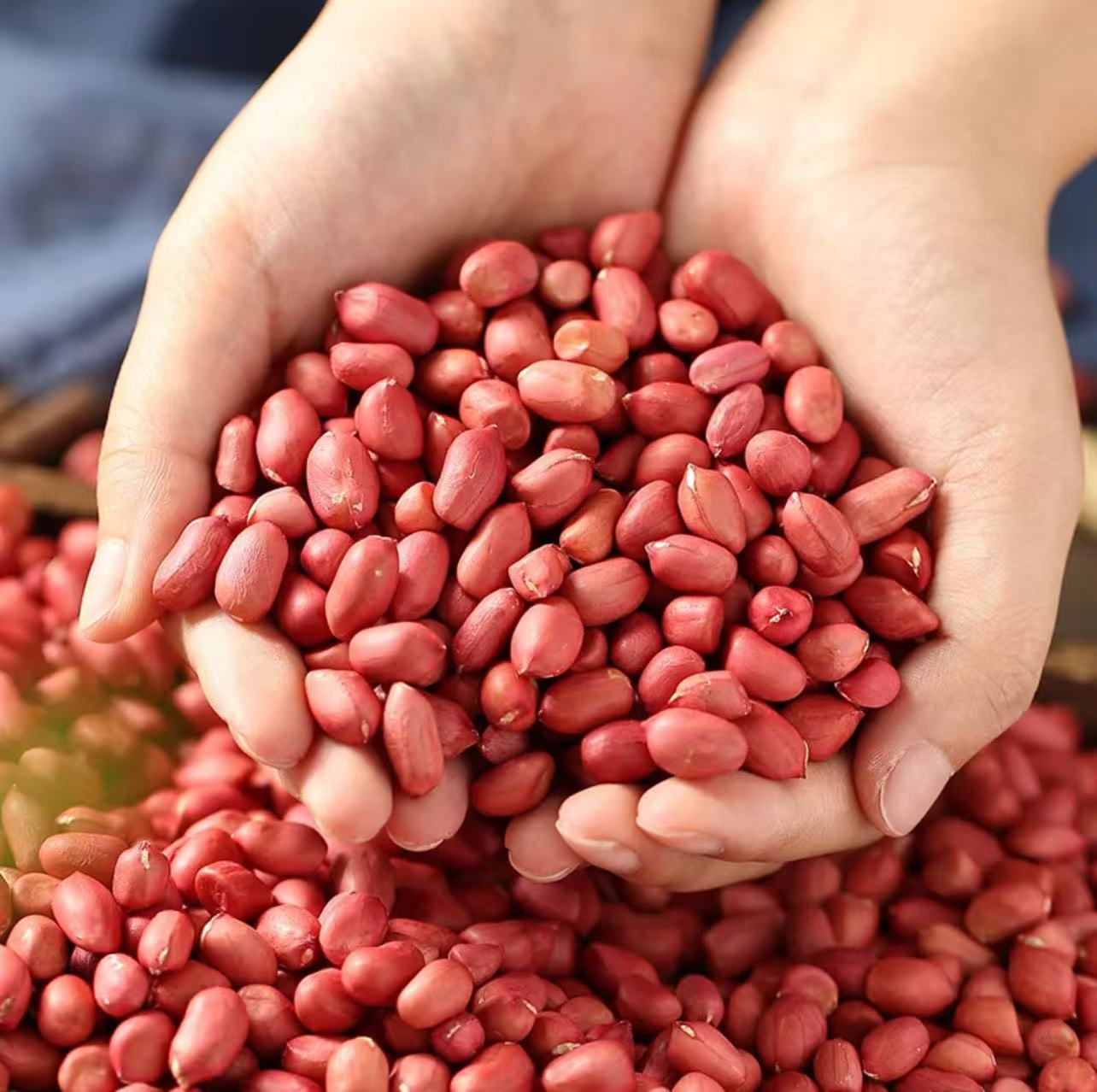 邱正新农人-花生