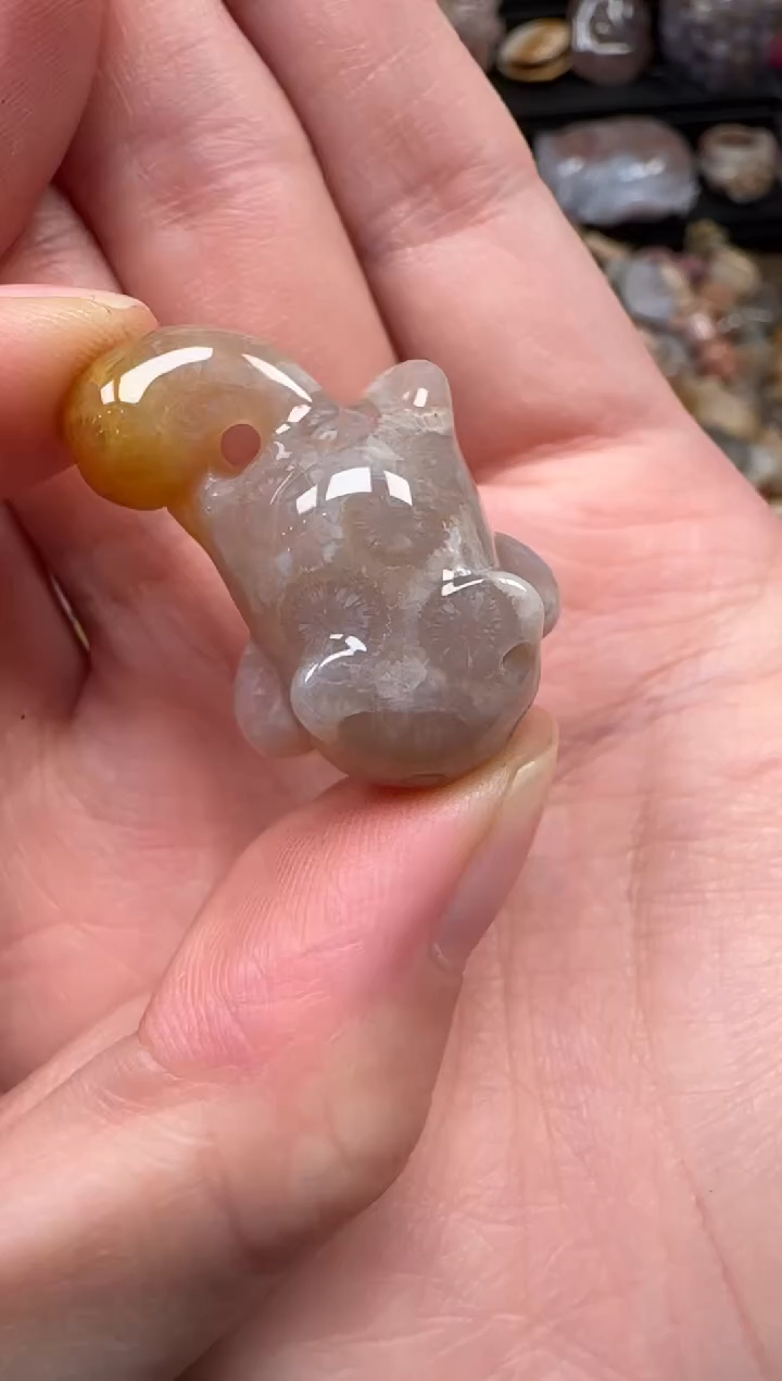 颈饰未镶嵌硅化珊瑚（珊瑚玉）208