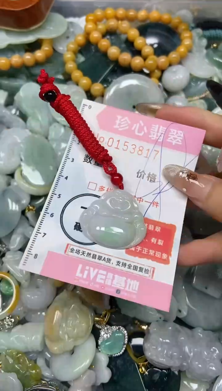 【闪购商品】翡翠颈饰未镶嵌闪购0153817