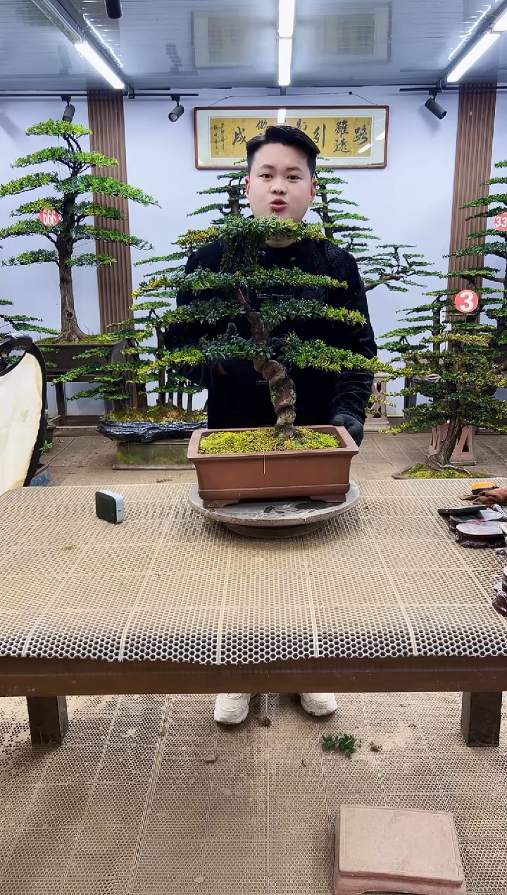 【闪购商品】0000000000