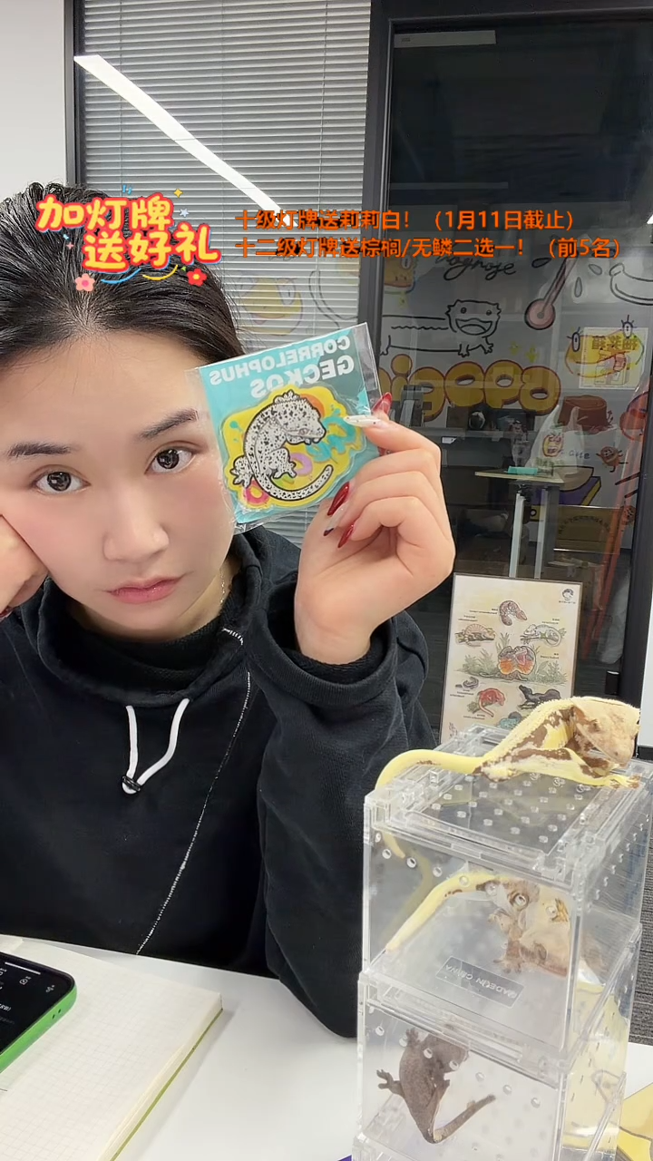 超麦冰箱贴~~~~~