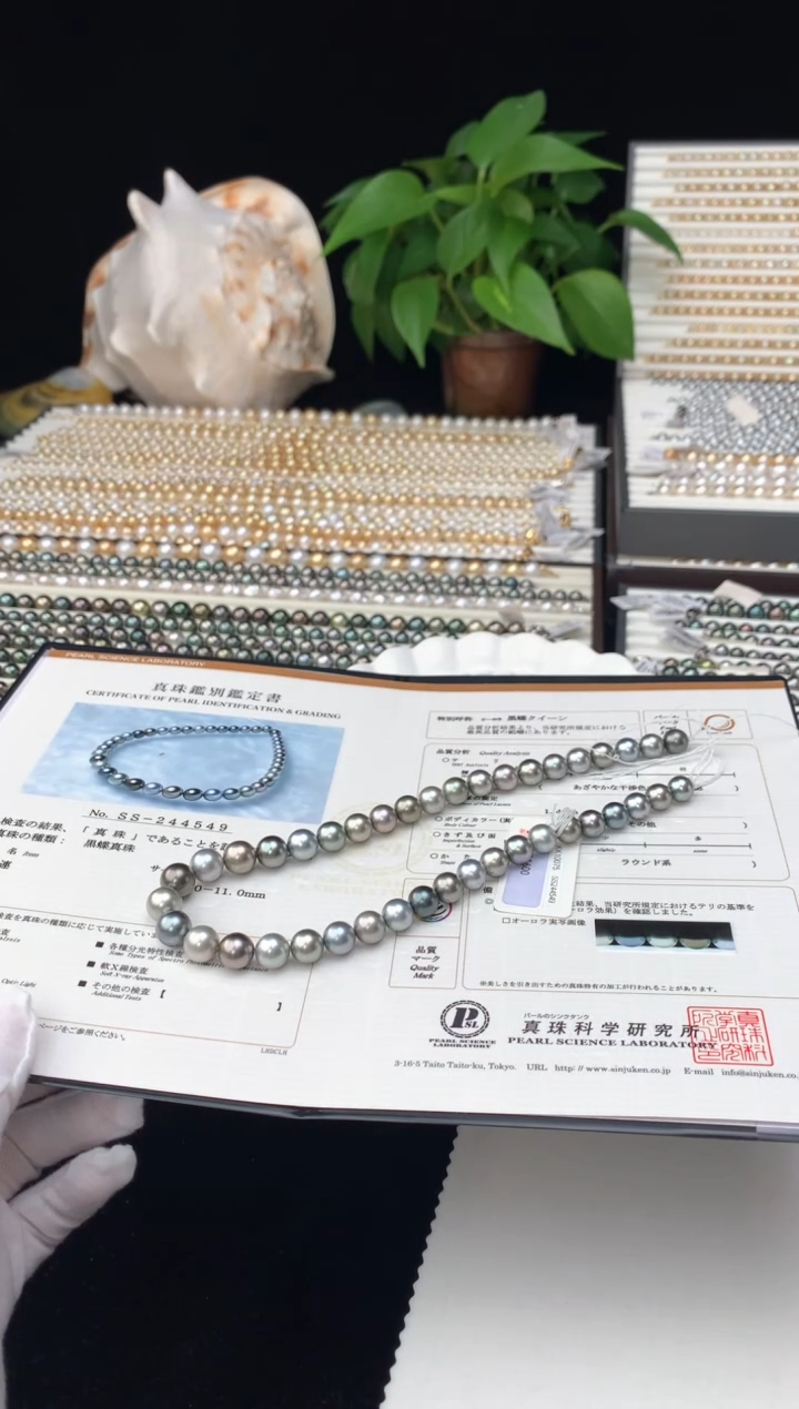 【闪购商品】海水珍珠颈饰银S925镶嵌海水大溪地珍珠项链9-11mm