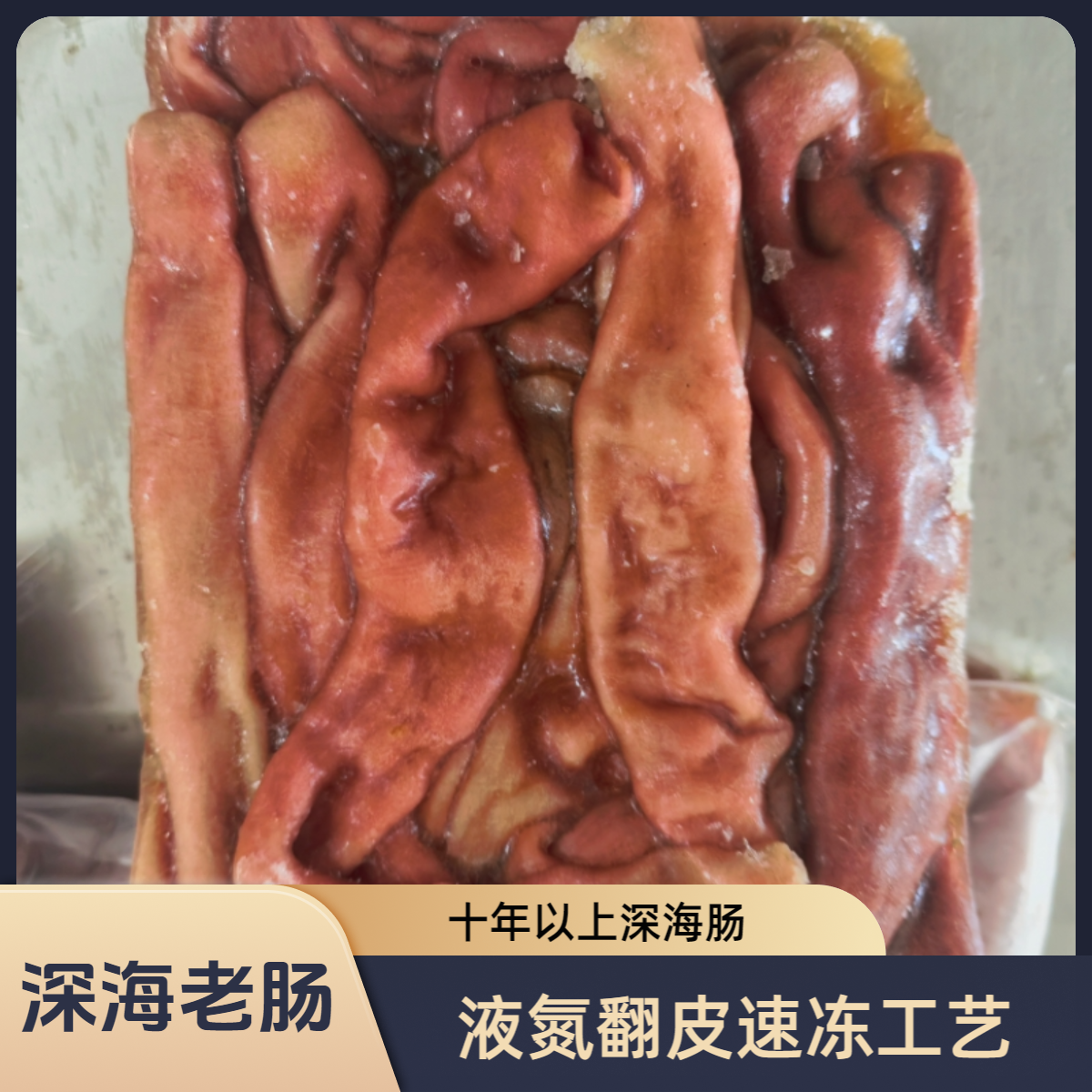 3号活冻海肠 厚皮子每袋180g+漏气正常 介意勿拍