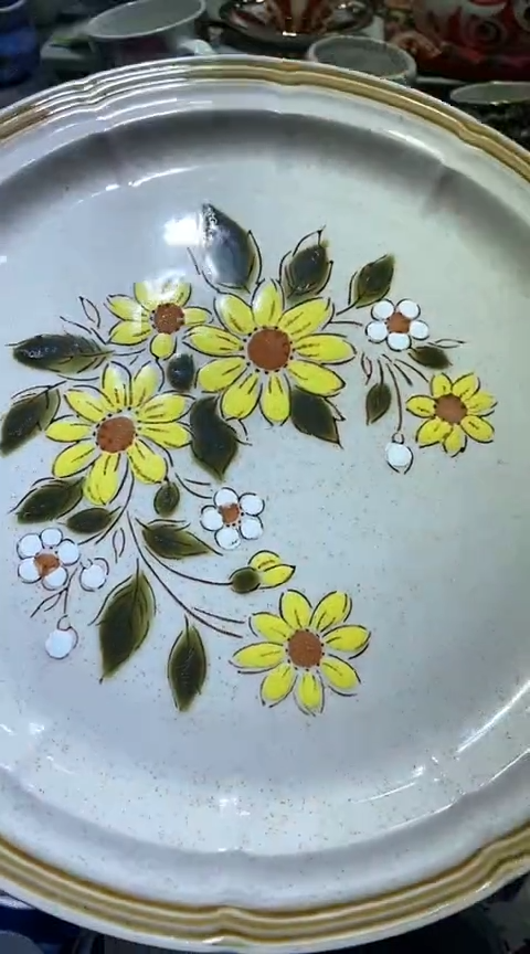 【闪购商品】瓷片6938755532314121676