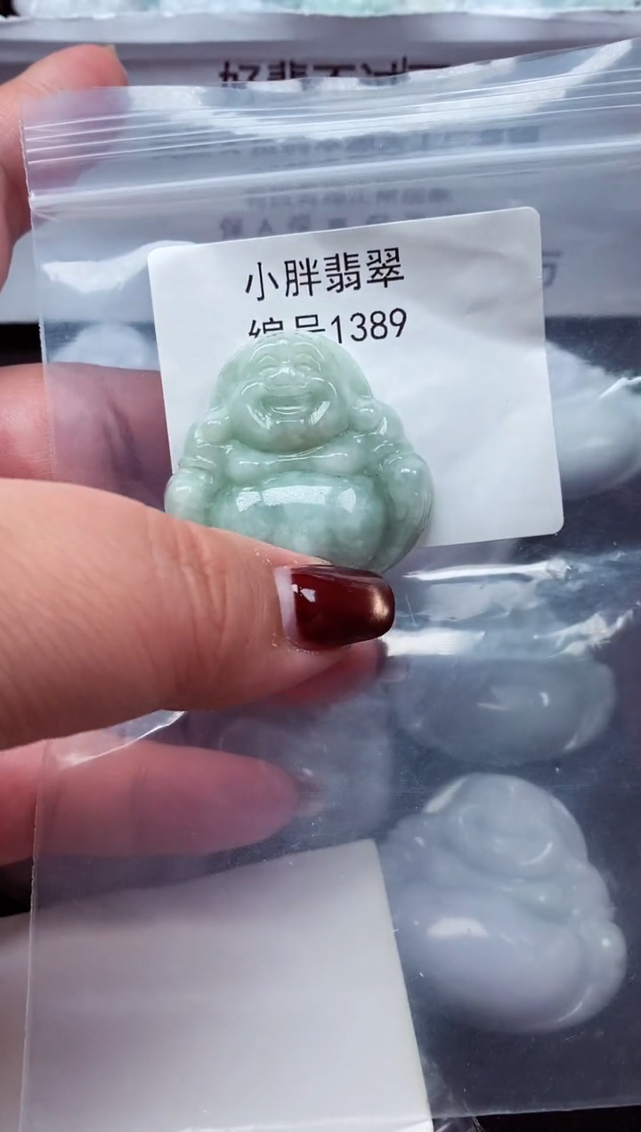 颈饰未镶嵌翡翠缅甸天然A货翡翠1389