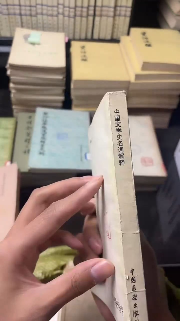 寒**艺中国文学史名词解释