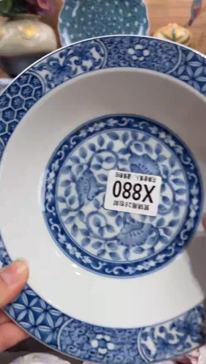 瓷片眉***～       X880