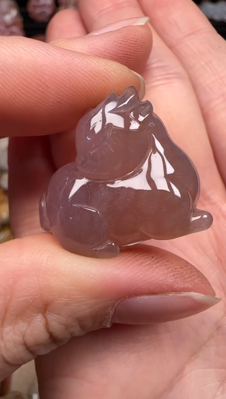 硅化珊瑚（珊瑚玉）未镶嵌颈饰364