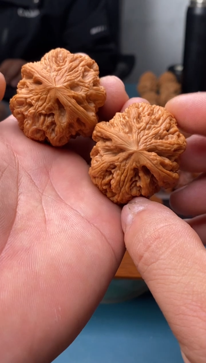 把件文玩核桃大粗筋a816