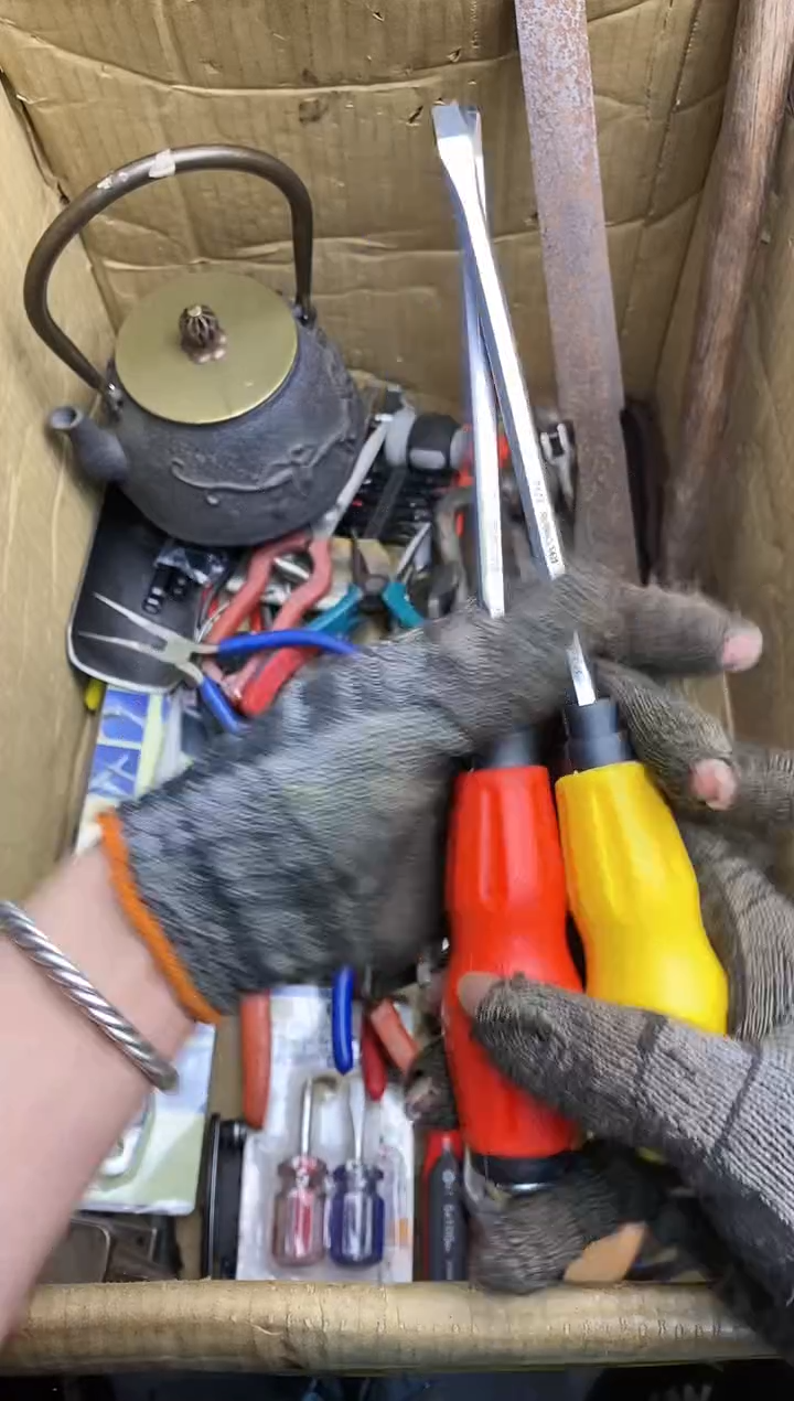 月***亮五金园艺农具厨具工具闪购