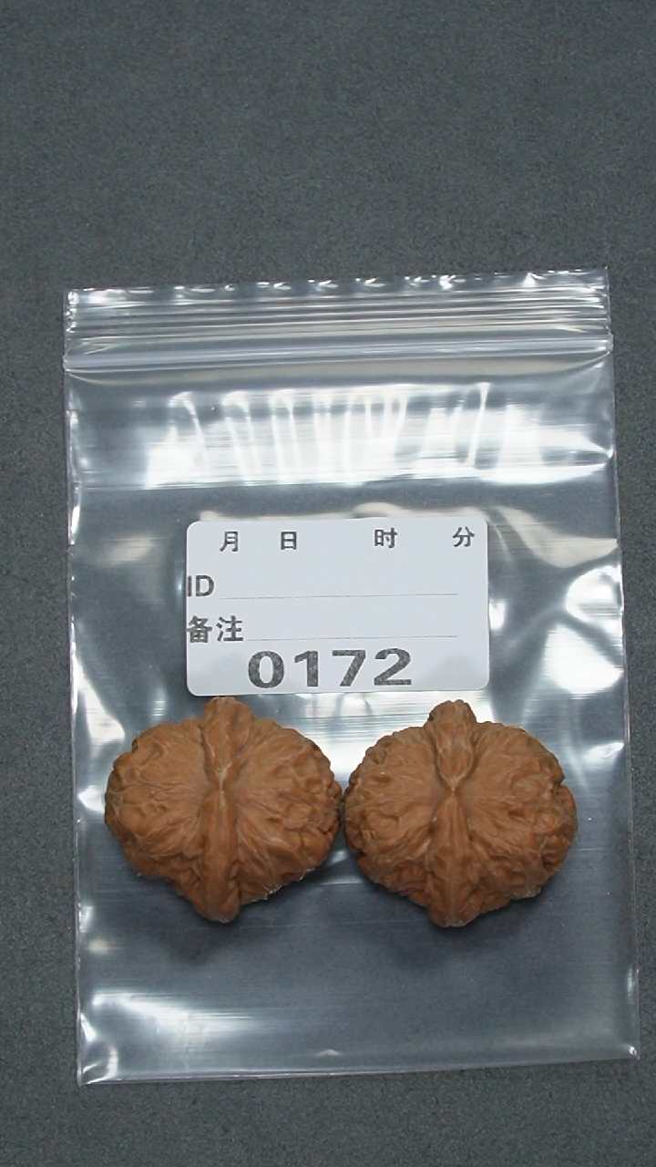 【闪购商品】文玩核桃把件38元宝