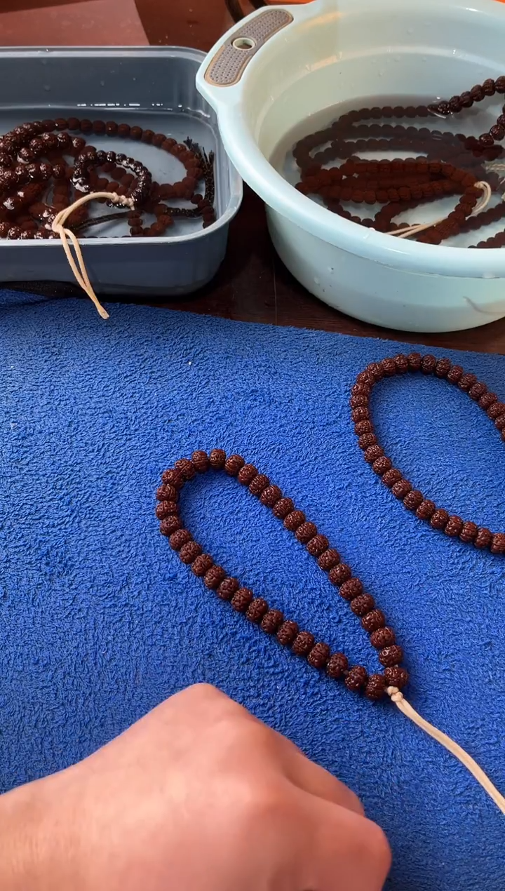 手串金刚菩提10+老树王