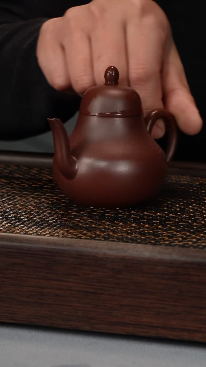 【闪购商品】思婷 紫朱泥（195号）