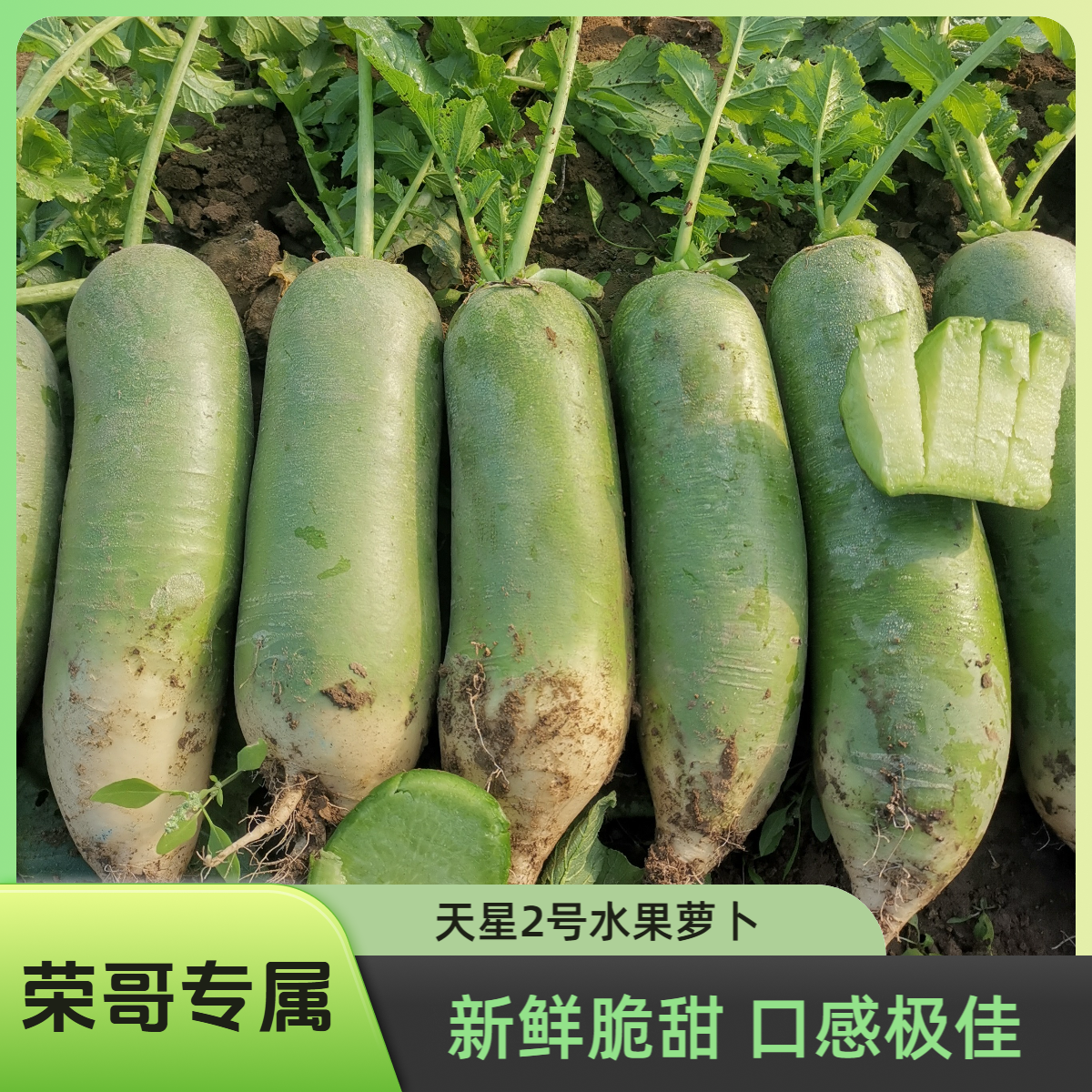 【荣哥专属】天星2号水果萝卜5/8斤酥脆甜新鲜现拔 京东顺丰包邮