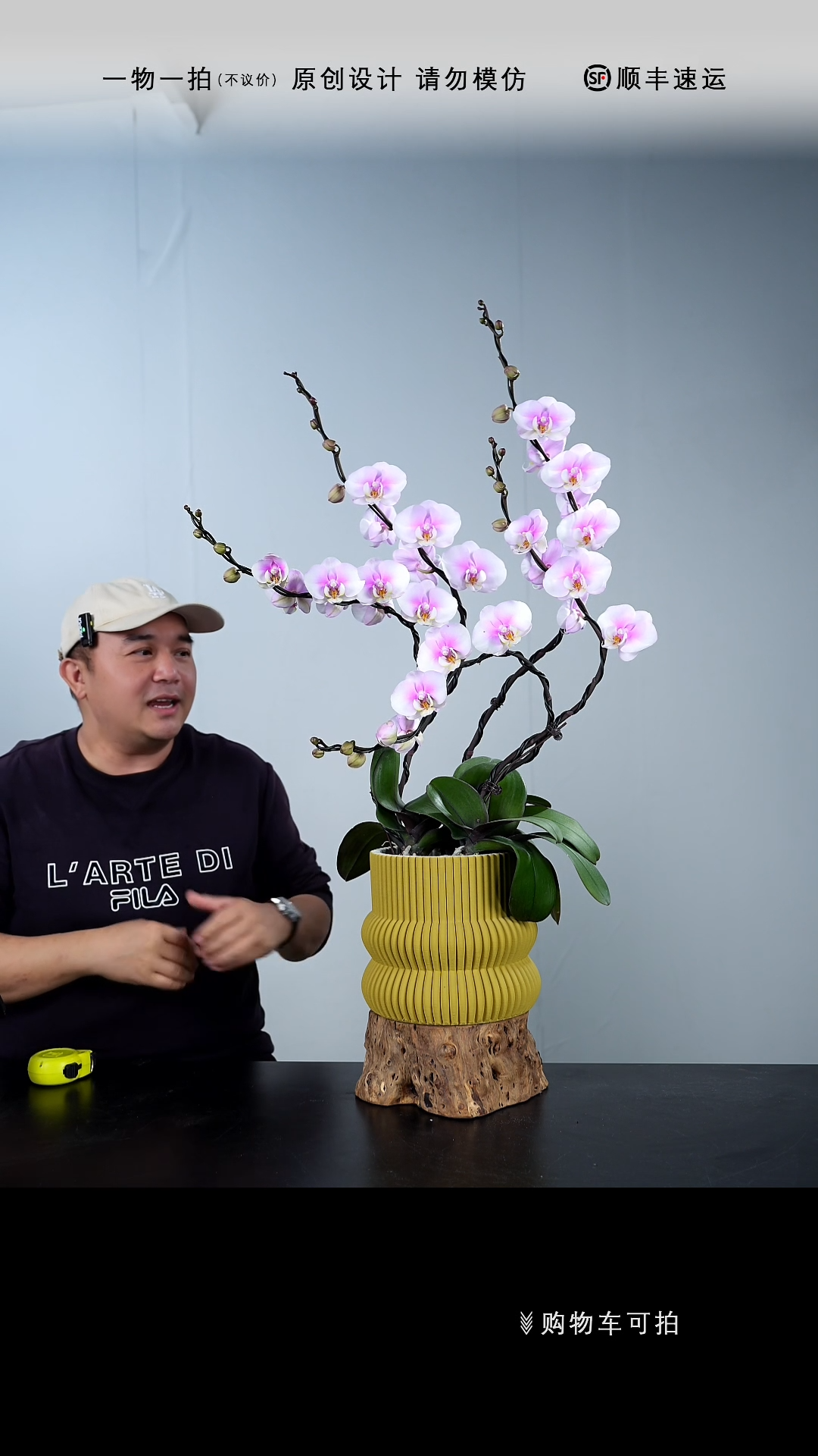 【闪购商品】008号链接【一物一拍】艺术盆景