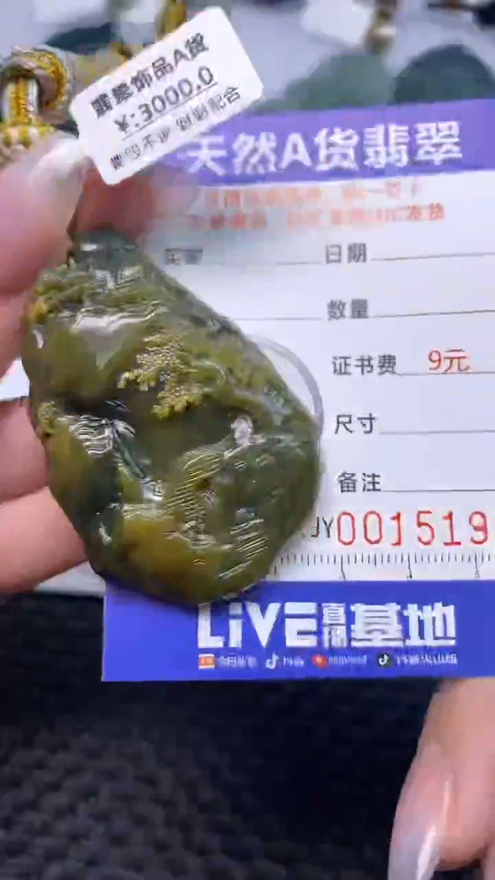 翡翠未镶嵌颈饰    1111