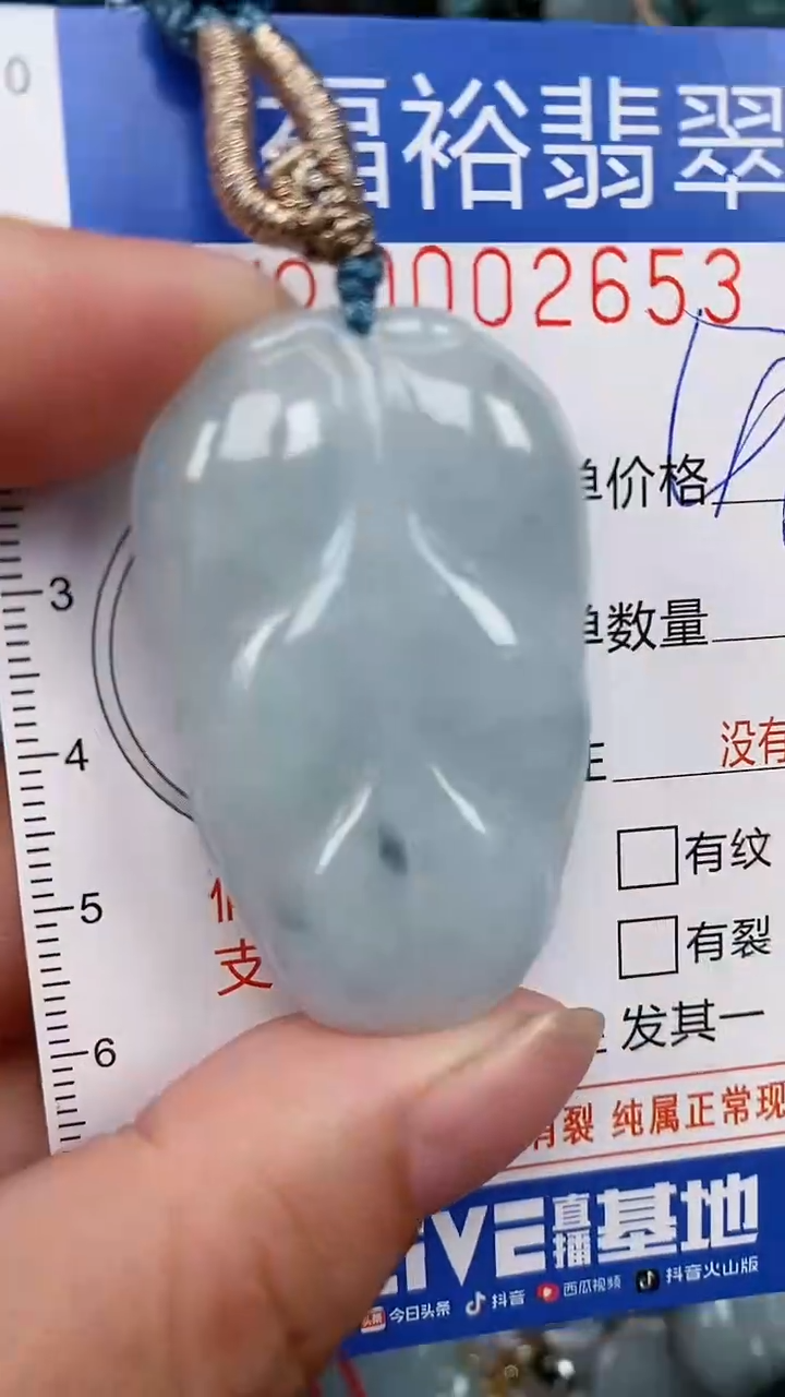 翡翠未镶嵌颈饰...0002653