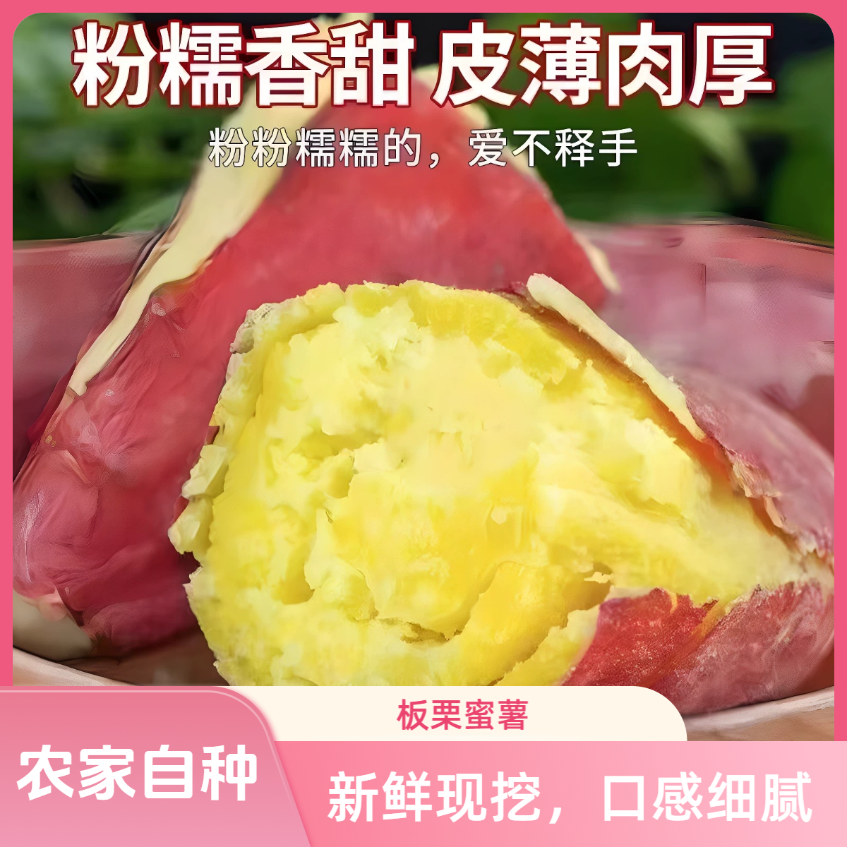 【板栗红薯】新鲜现挖 沙地红薯 粉糯香甜 邮政包邮