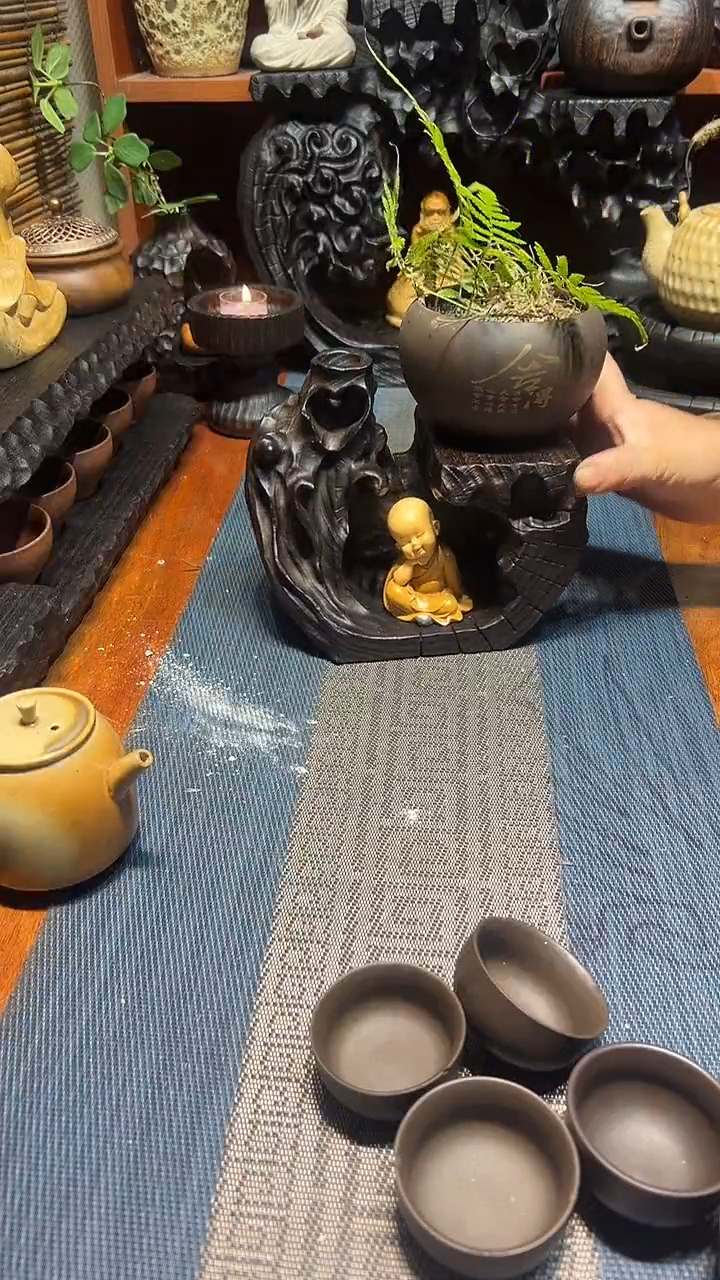 香樟木香樟木一物一拍