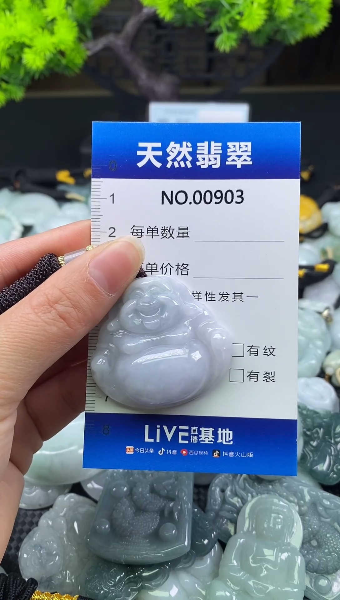 颈饰未镶嵌翡翠天然缅甸翡翠903